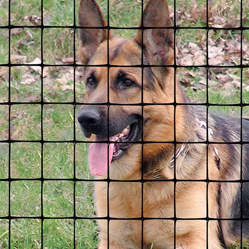 PET FENCE