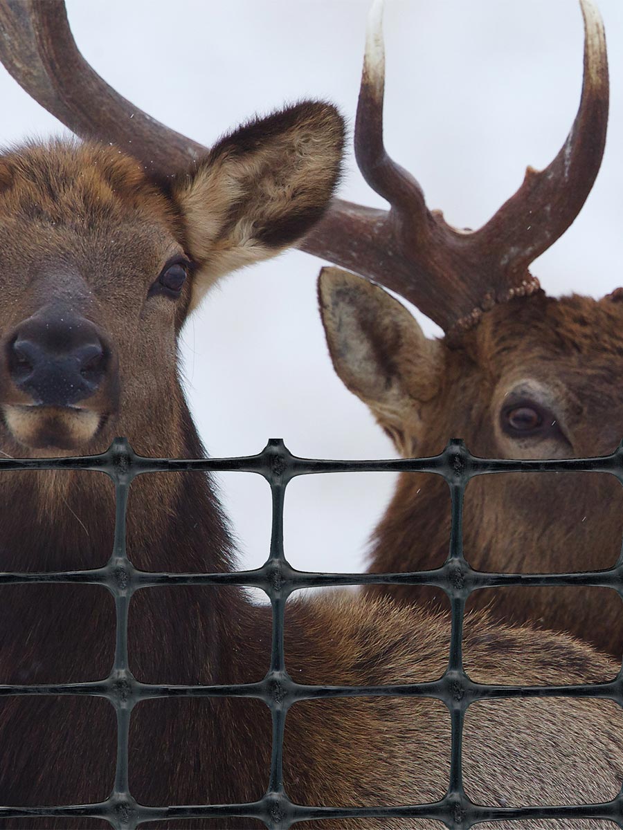 Tenax elk fence for elk damage control
